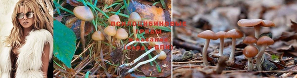 МДПВ Балабаново